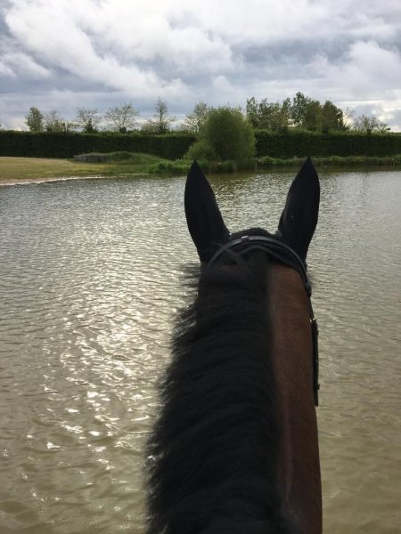 Club Hippique - Ecuries du Plessis - photo 2