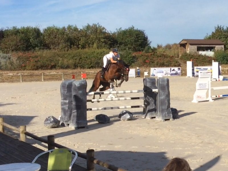 Club Hippique - Ecuries du Plessis - photo 3