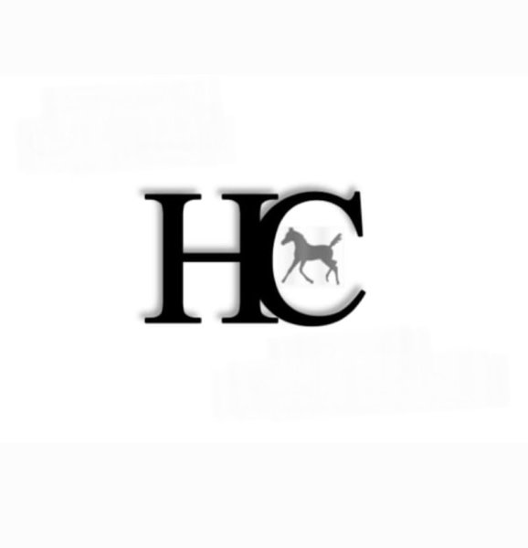 Haras de Cyltonn - photo 1