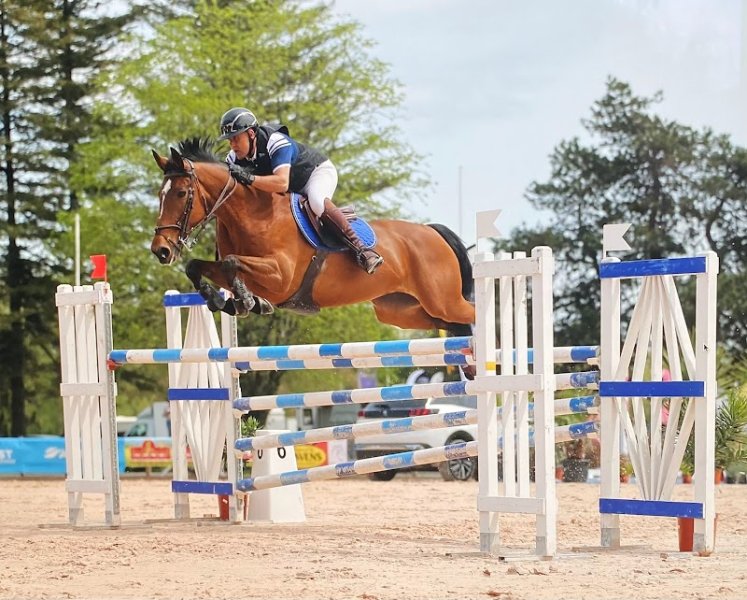 Ecurie Eric Le Grel - Elevage d’Ermac