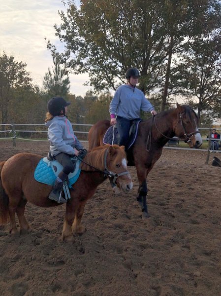 Écurie de l’Aube - photo 3