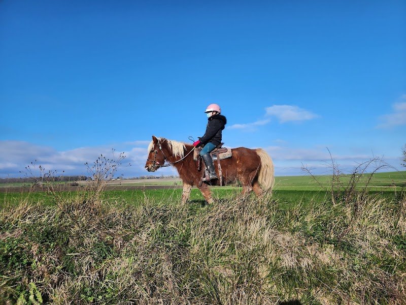 L'écurie Savignoise - photo 1