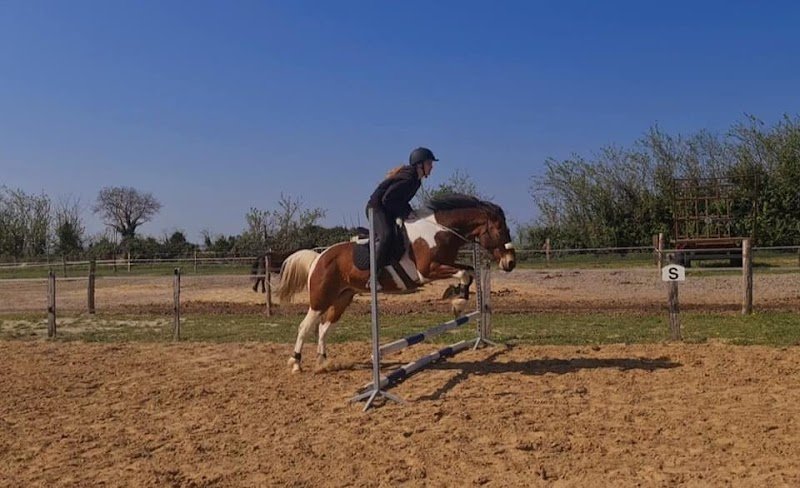 L'écurie Savignoise - photo 2