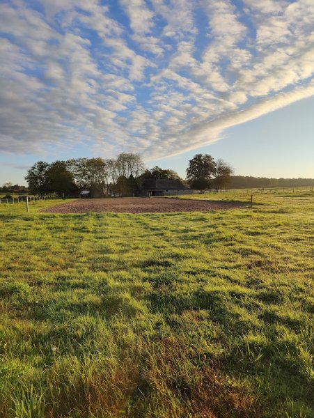 Écurie Claire Slingerland Dressage - photo 1