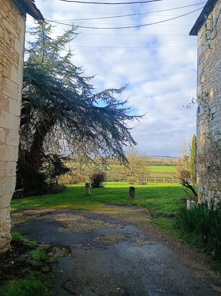 Centre équestre les Allées d'Harambure - photo 2