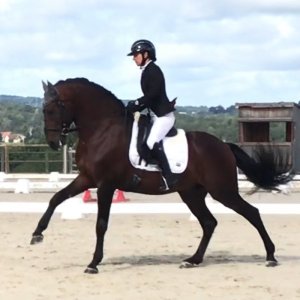 Écurie Lerpiniere - photo 2