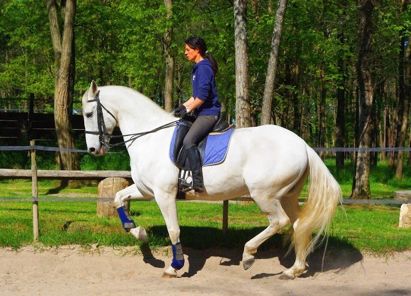 Écurie Lerpiniere - photo 3