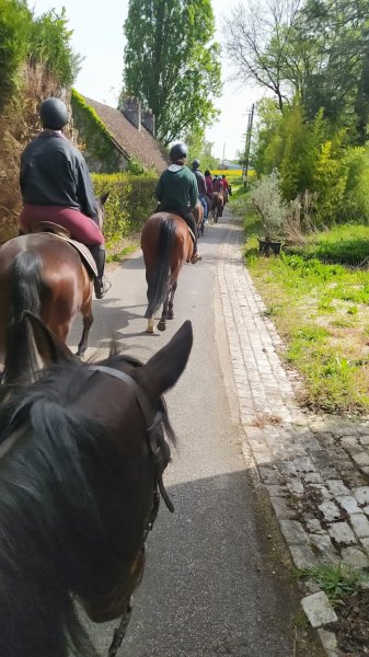 Centre équestre - La Bergauderie - photo 1