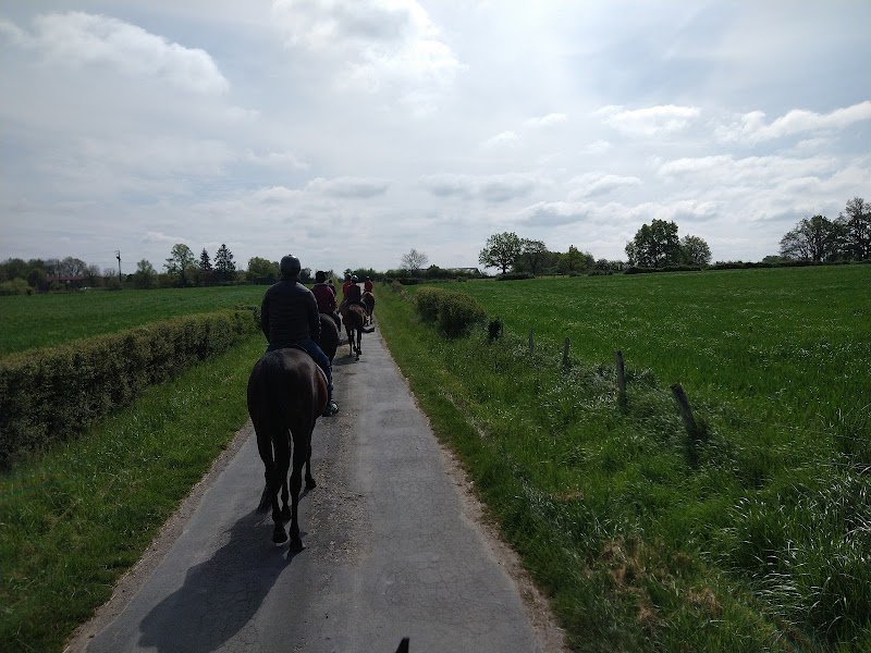 Centre équestre - La Bergauderie - photo 2