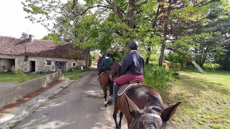 Centre équestre - La Bergauderie - photo 3