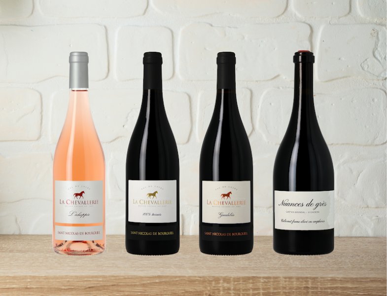 Vins de Saint Nicolas de Bourgueil • Gaëtan Bruneau, vigneron • La Chevallerie - photo 2