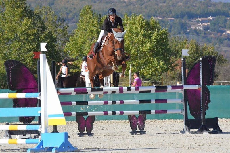 Écuries du Mas d'Oc - photo 1