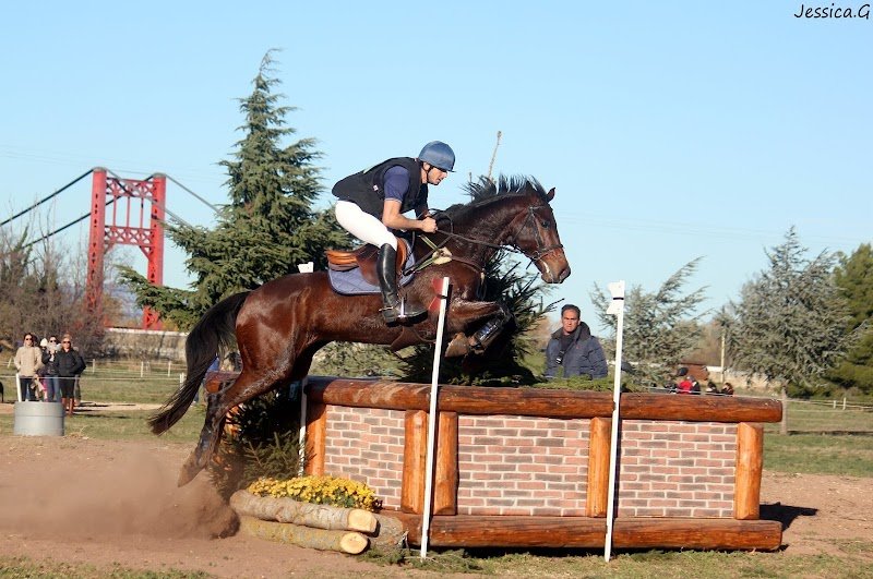 Écuries du Mas d'Oc - photo 3