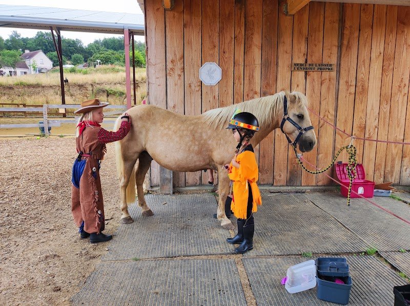 Haras de la bouvaterie - photo 2