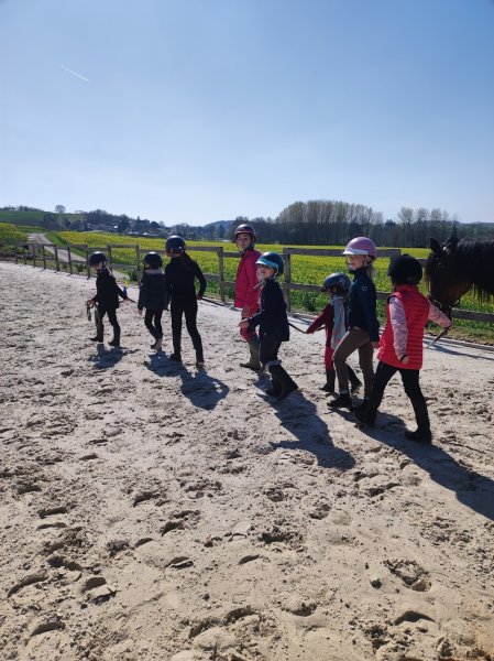 Haras de la bouvaterie - photo 3
