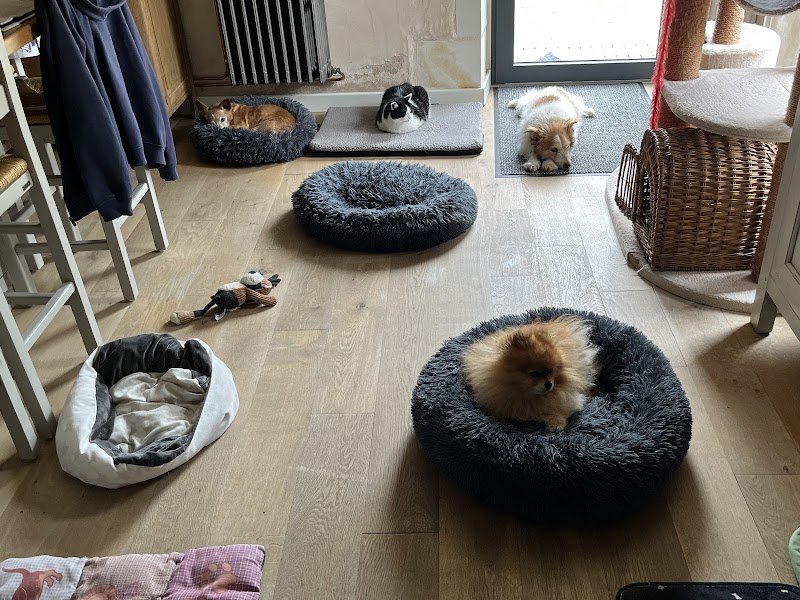 La pension enchantée - photo 1