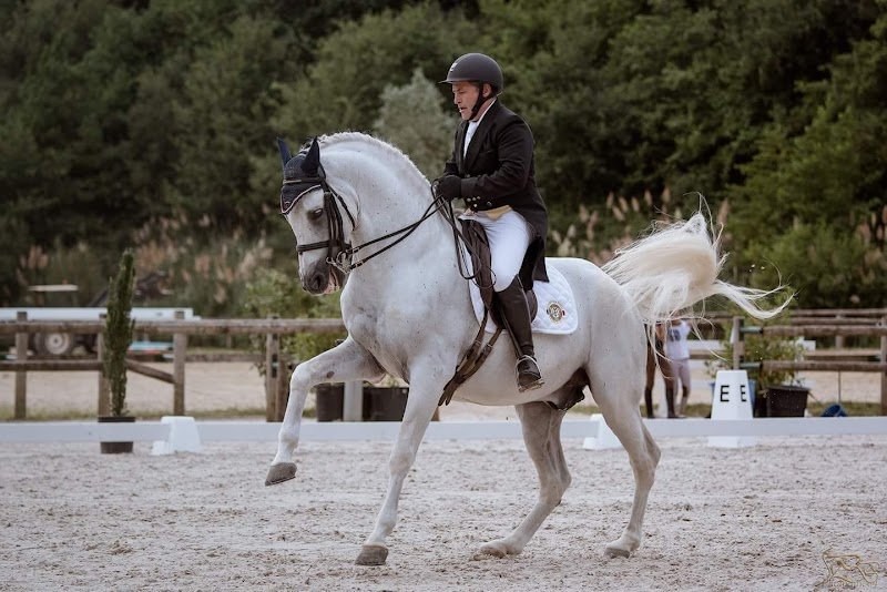 Écurie de Ménardière