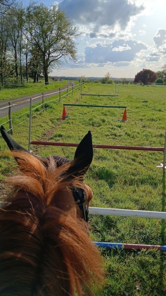 Écurie du fougeray - photo 2