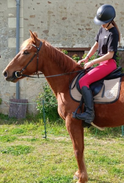 Écurie du fougeray - photo 3