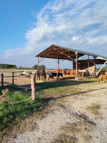 Poney Club Annabelle - photo 1