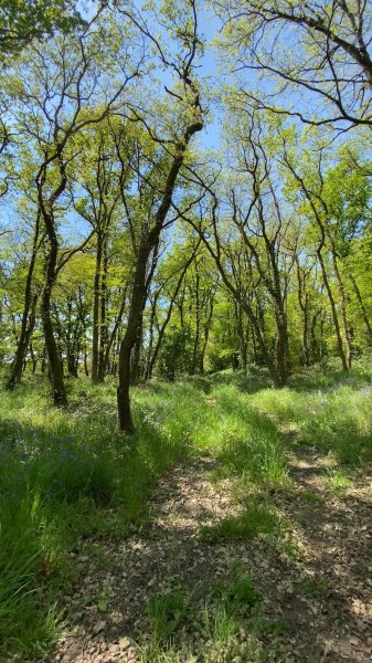 Écurie Doma l’Alleu - photo 2