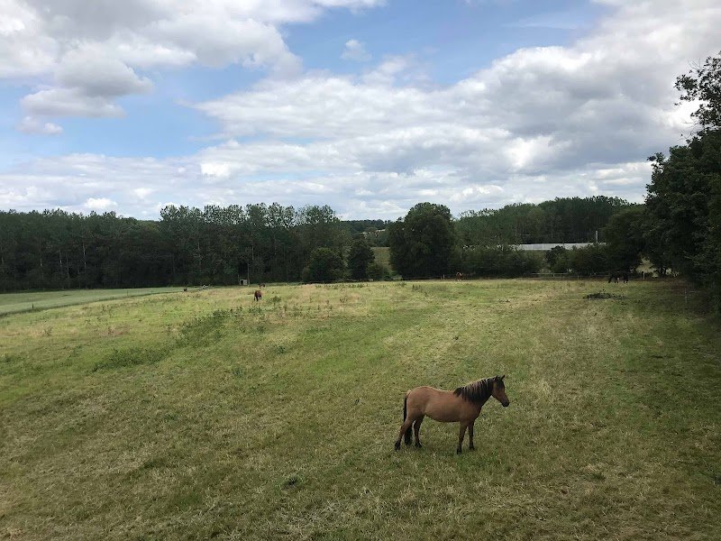 Les Écuries De Tarcay