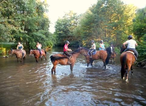 Les Écuries De Tarcay - photo 2