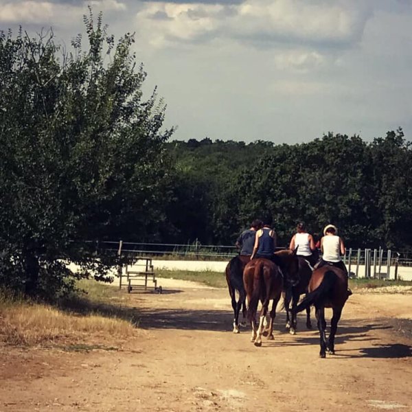 Les Écuries De Tarcay - photo 3