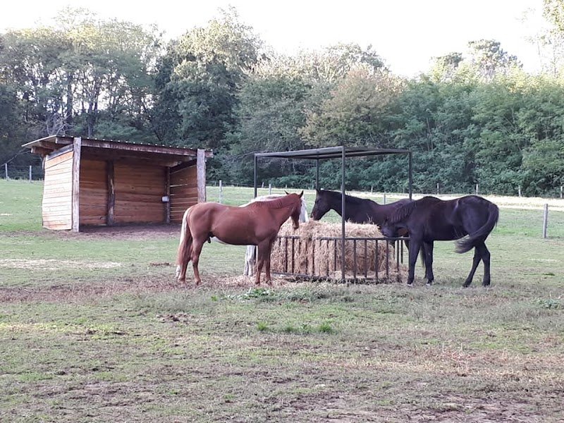Écurie du Pas de la Groie - photo 3