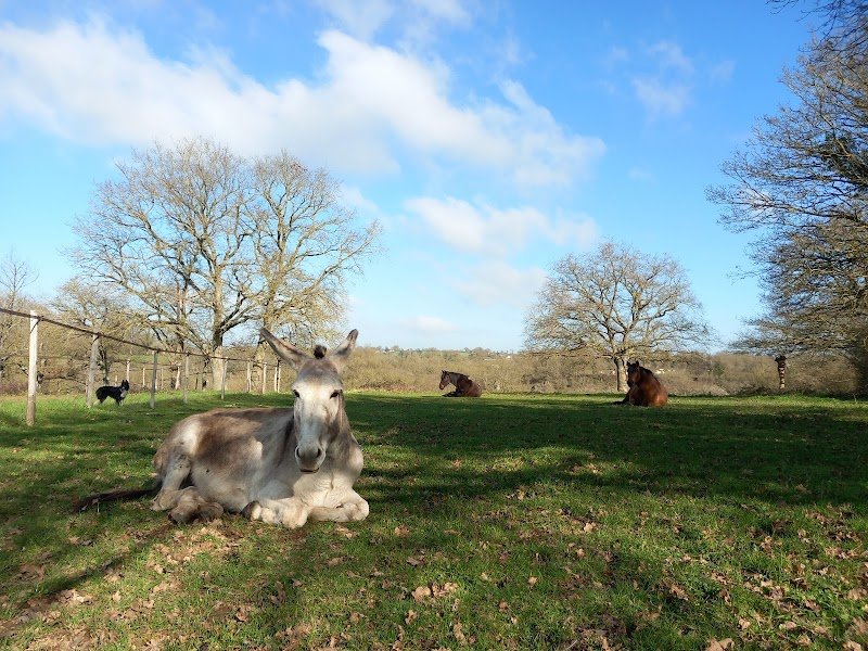 Les Ecuries de Brochemerle - photo 2