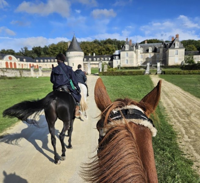 Association Gizeux Passion Equestre - photo 1