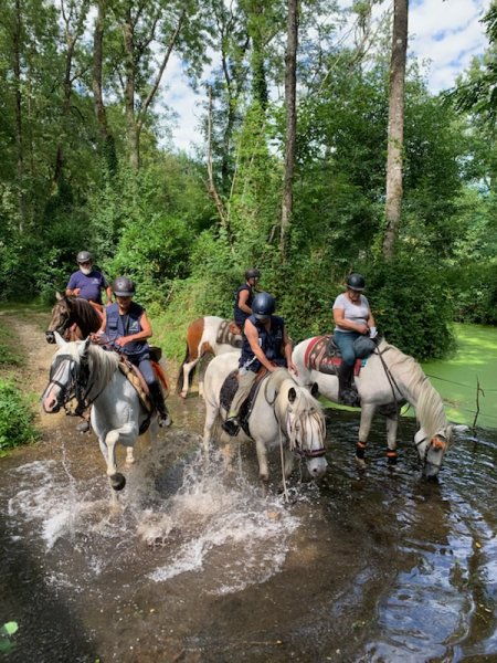 Association Gizeux Passion Equestre - photo 2