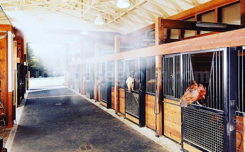 Haras de l'Erable - photo 1