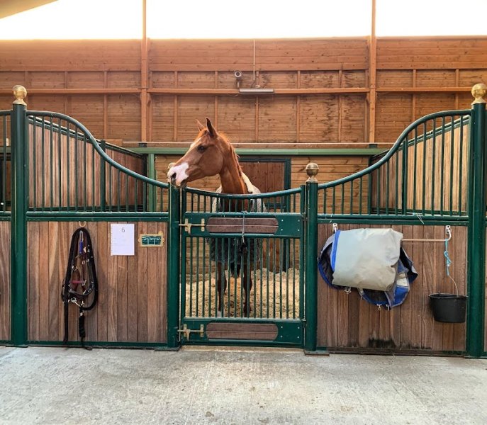 Haras de l'Erable - photo 2