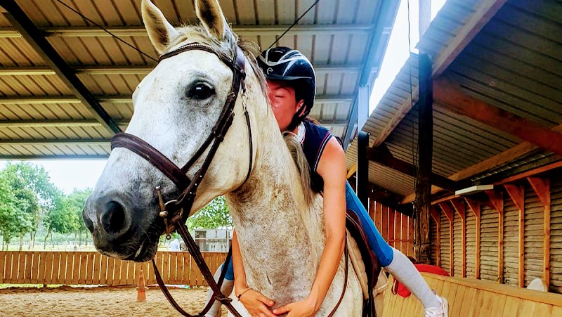 Le Haras des Ouches, centre équestre du Carré Médicis - photo 1