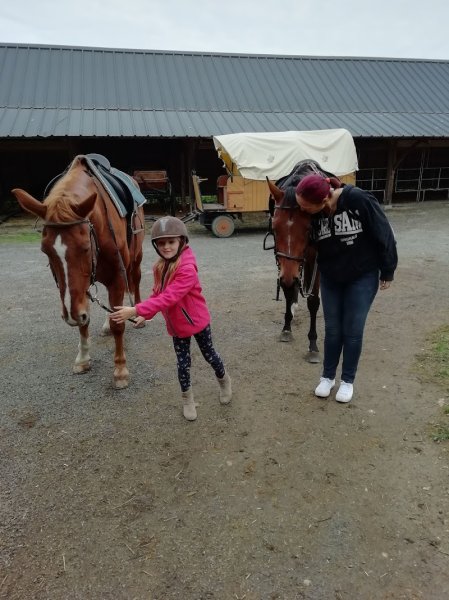 Le Haras des Ouches, centre équestre du Carré Médicis - photo 2