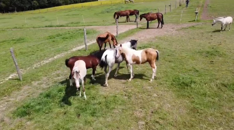 Les Écuries de La Riderie - photo 1