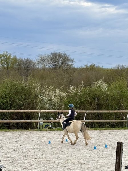 Les Écuries de La Riderie - photo 2