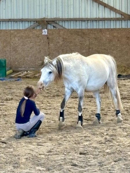 Les Écuries de La Riderie - photo 3