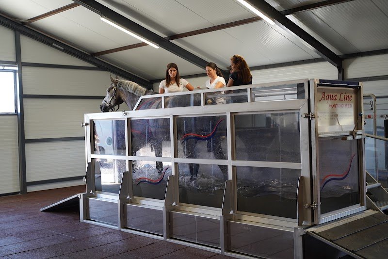 ecurie mp jump - photo 1