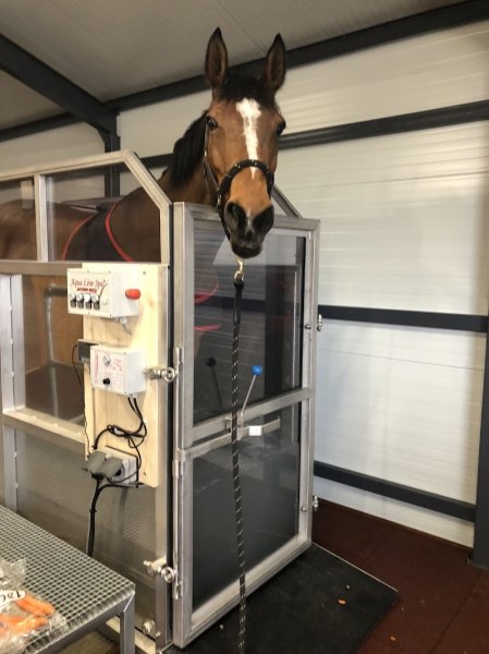 ecurie mp jump - photo 2