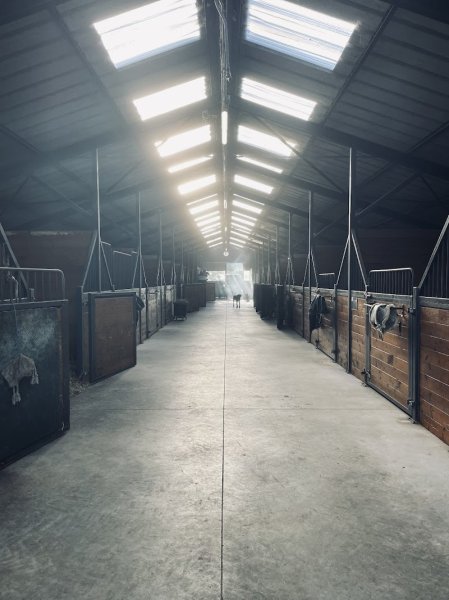 ecurie mp jump - photo 3