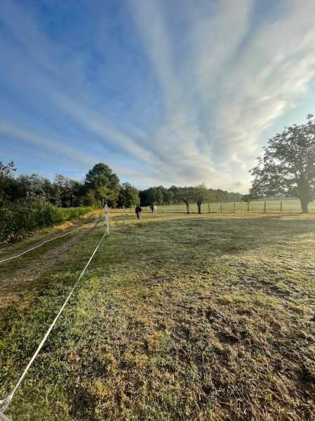 Écurie apollon - photo 3