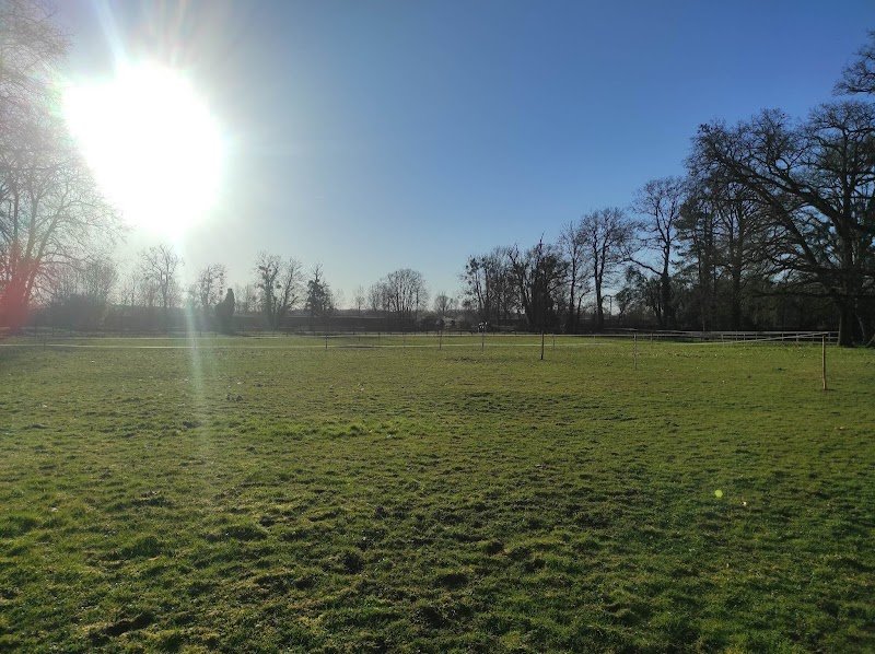 Ecurie de la Vicomté - photo 1