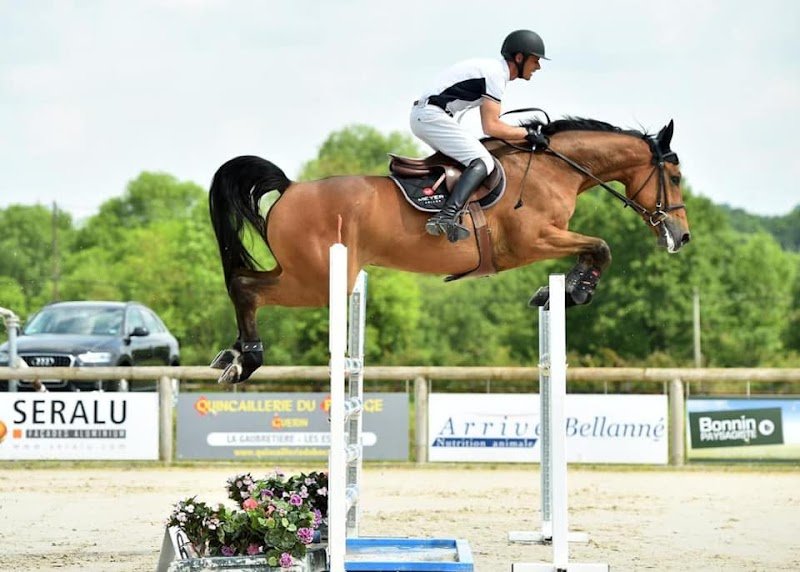 Ecurie du bois - photo 1