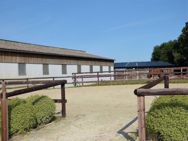 Ecurie du bois - photo 3