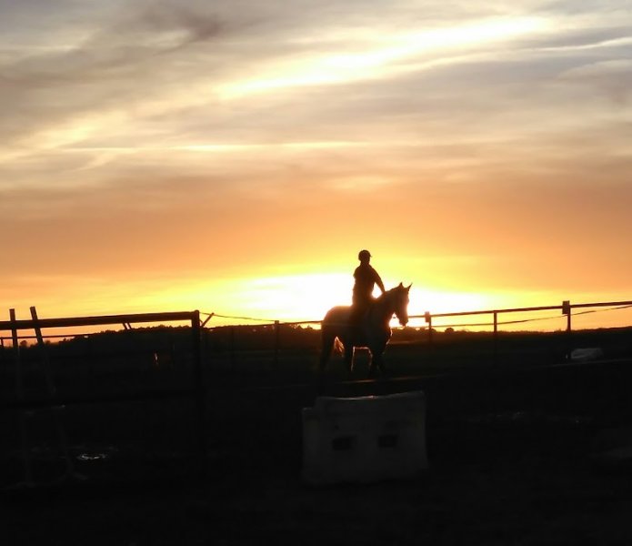 Centre équestre de la Chênaie - photo 2