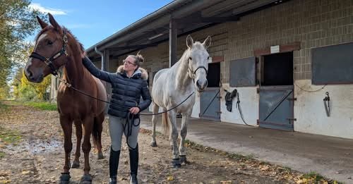 Les écuries de Naveil - photo 1