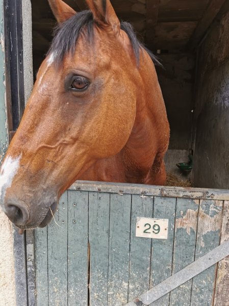 Écuries du Vendômois