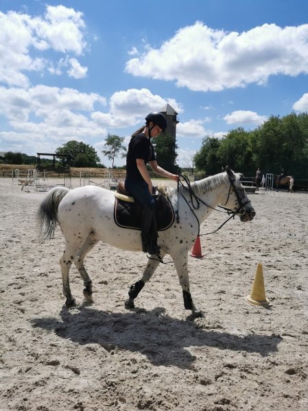 Écuries du Vendômois - photo 2